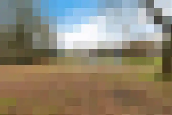 Bommegaerde 80 Beetsterzwaag thumbnail 47