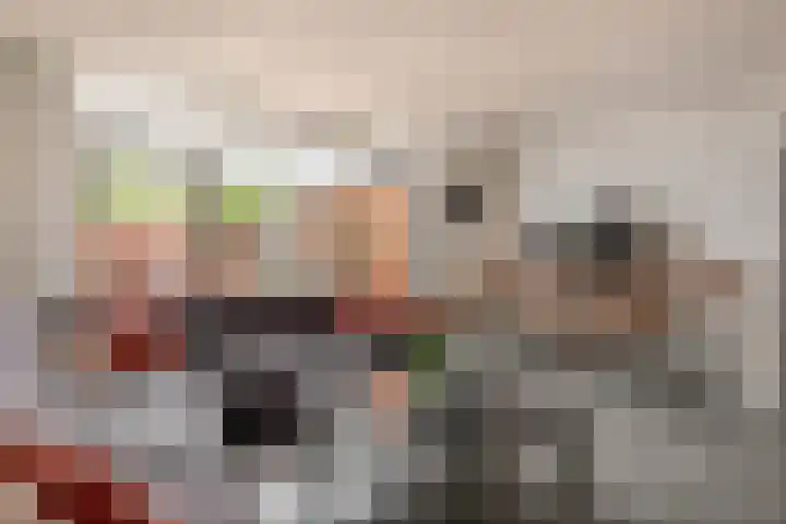 Bommelerwaard 24 Rotterdam thumbnail 10