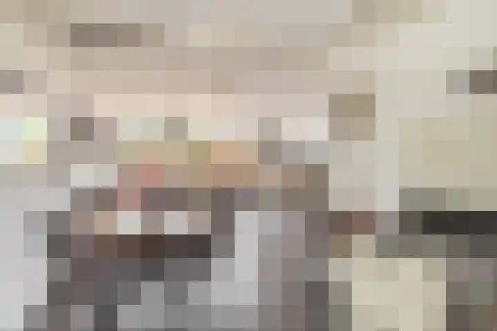 Bommelerwaard 24 Rotterdam thumbnail 17