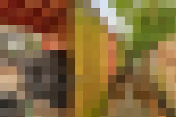 Bommelerwaard 24 Rotterdam thumbnail 23