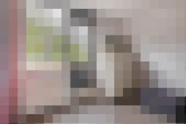 Bommelerwaard 24 Rotterdam thumbnail 32