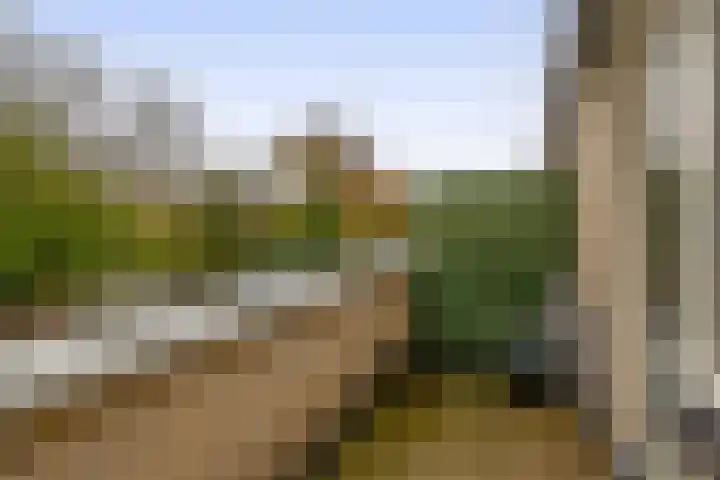 Bommelerwaard 24 Rotterdam thumbnail 33