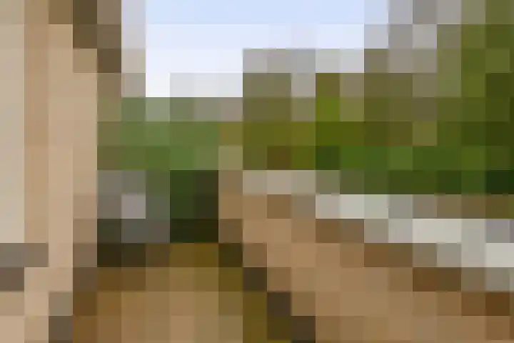 Bommelerwaard 24 Rotterdam thumbnail 34