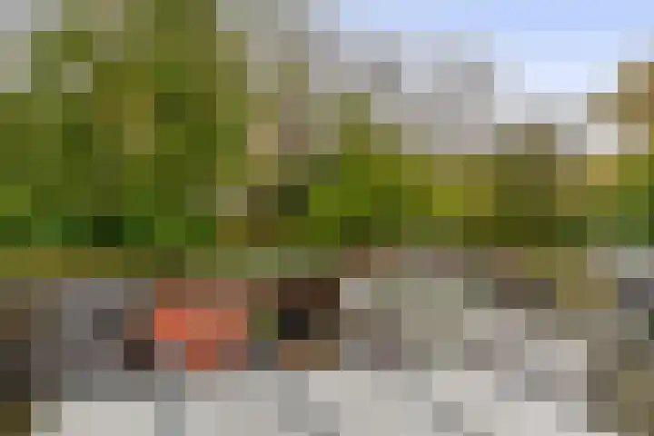 Bommelerwaard 24 Rotterdam thumbnail 35