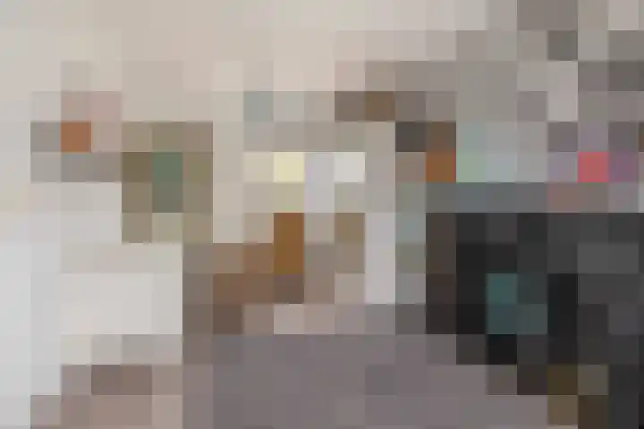 Bommelerwaard 24 Rotterdam thumbnail 39