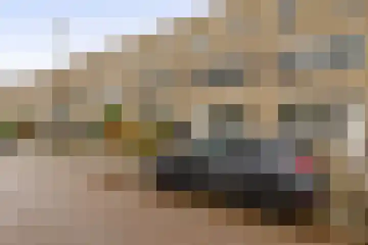 Bommelerwaard 24 Rotterdam thumbnail 4