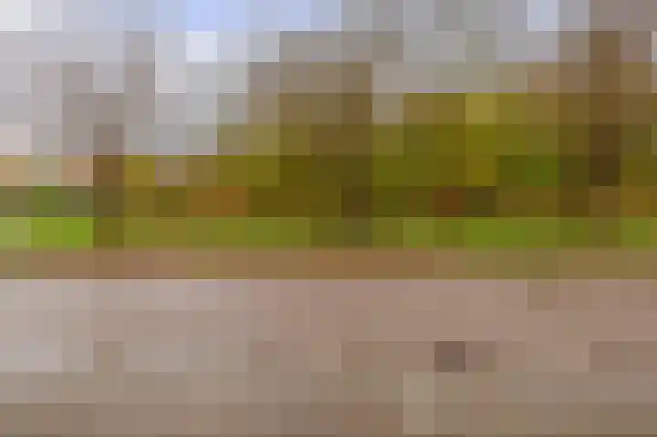 Bommelerwaard 24 Rotterdam thumbnail 41