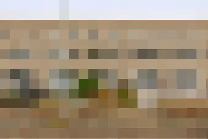 Bommelerwaard 24 Rotterdam thumbnail 42