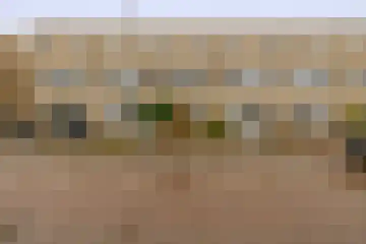 Bommelerwaard 24 Rotterdam thumbnail 44