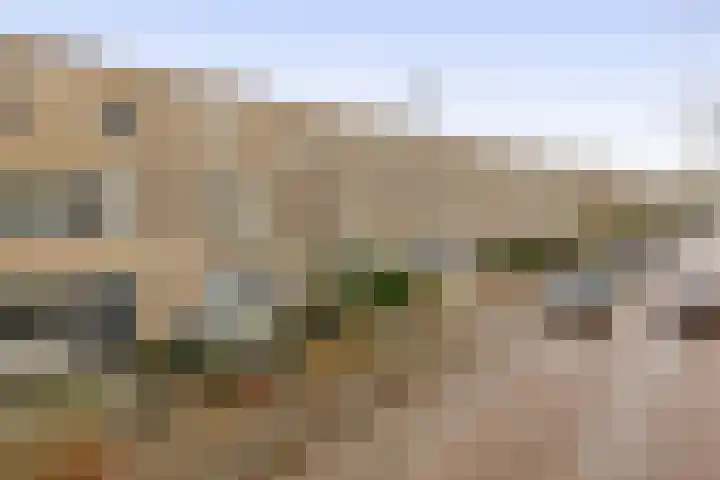 Bommelerwaard 24 Rotterdam thumbnail 45