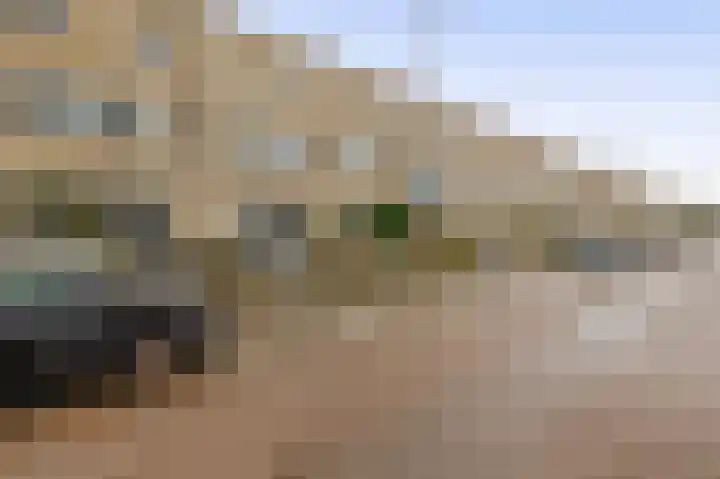 Bommelerwaard 24 Rotterdam thumbnail 5