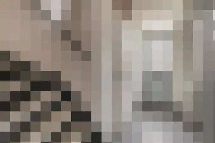 Bommelerwaard 24 Rotterdam thumbnail 7