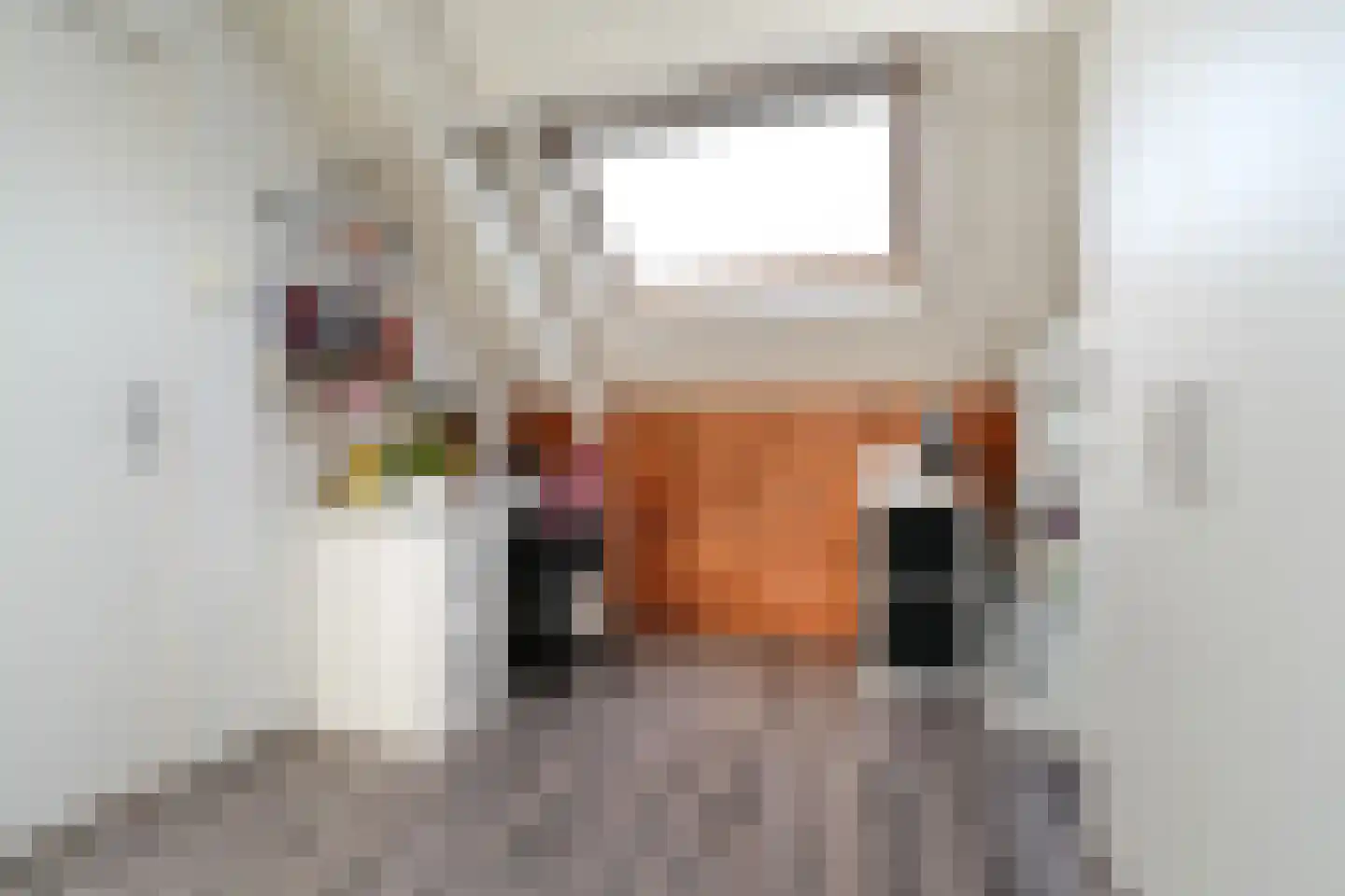 Bommelerwaard 34 Rotterdam thumbnail 25