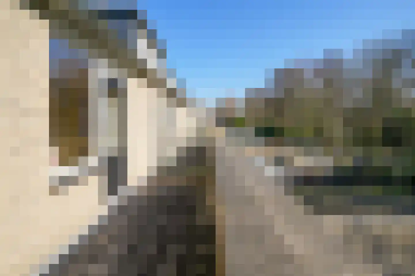 Bommelerwaard 34 Rotterdam thumbnail 37