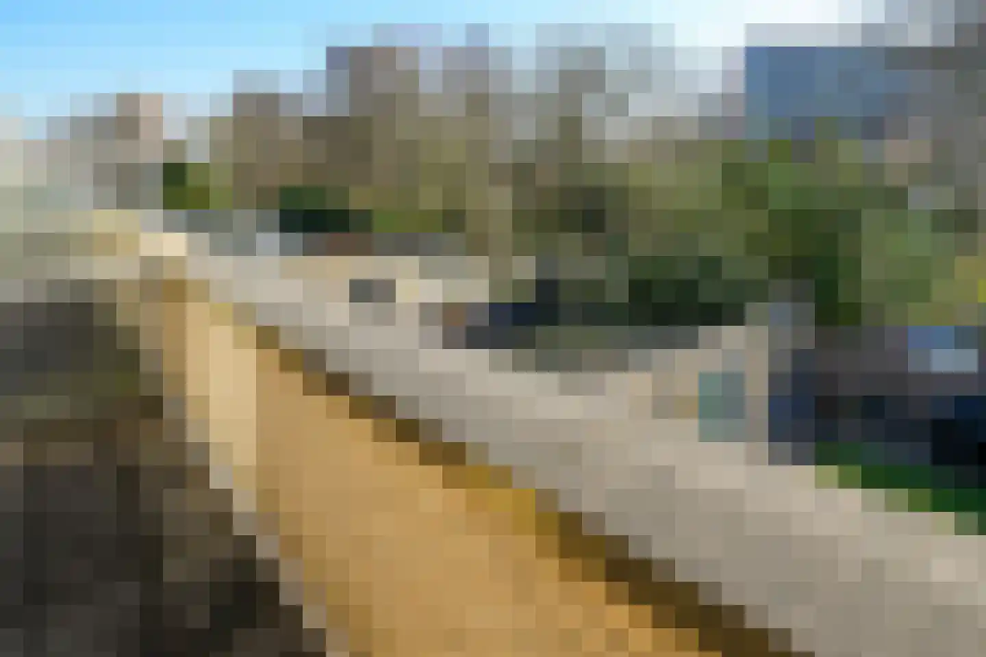 Bommelerwaard 34 Rotterdam thumbnail 38