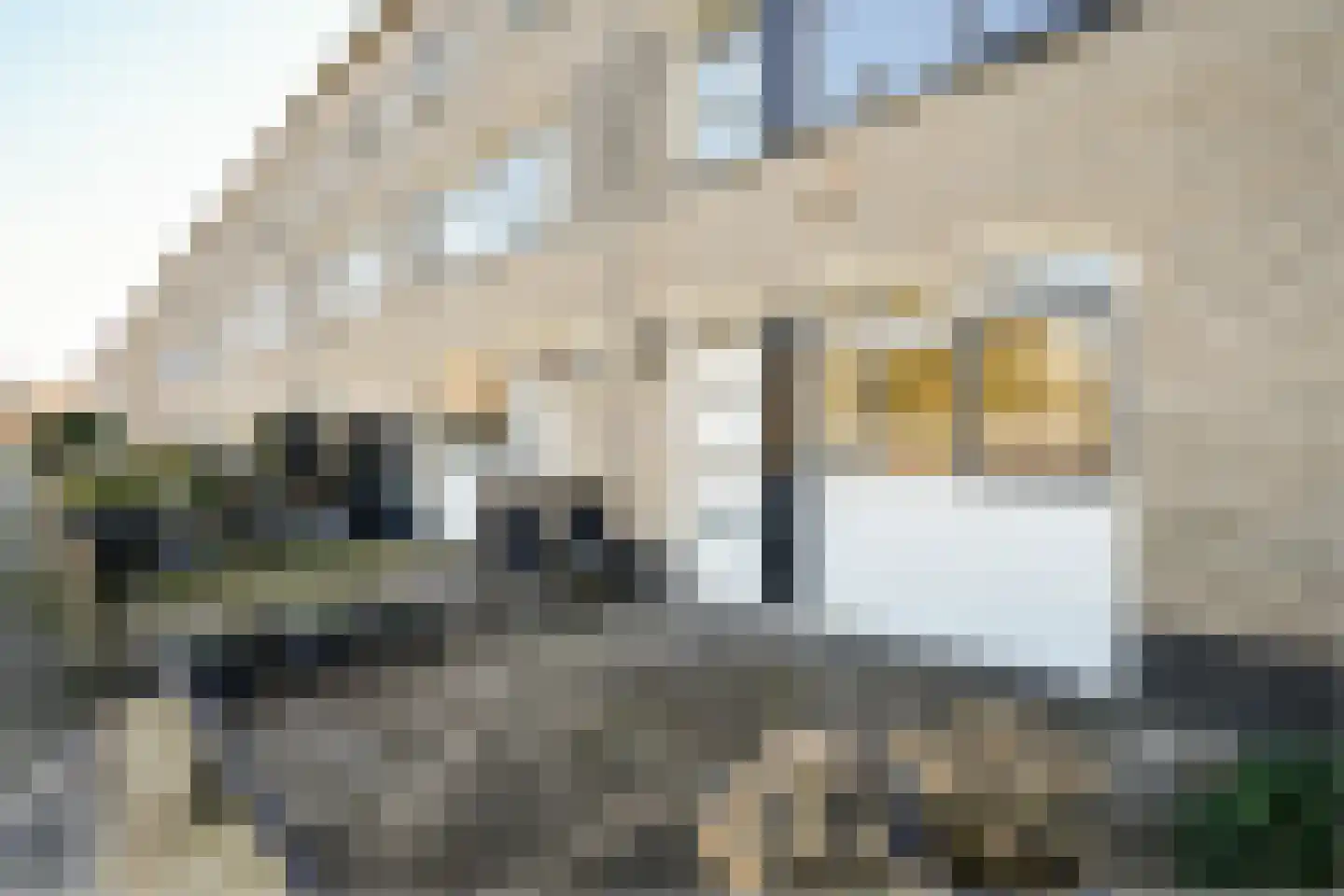 Bommelerwaard 34 Rotterdam thumbnail 5