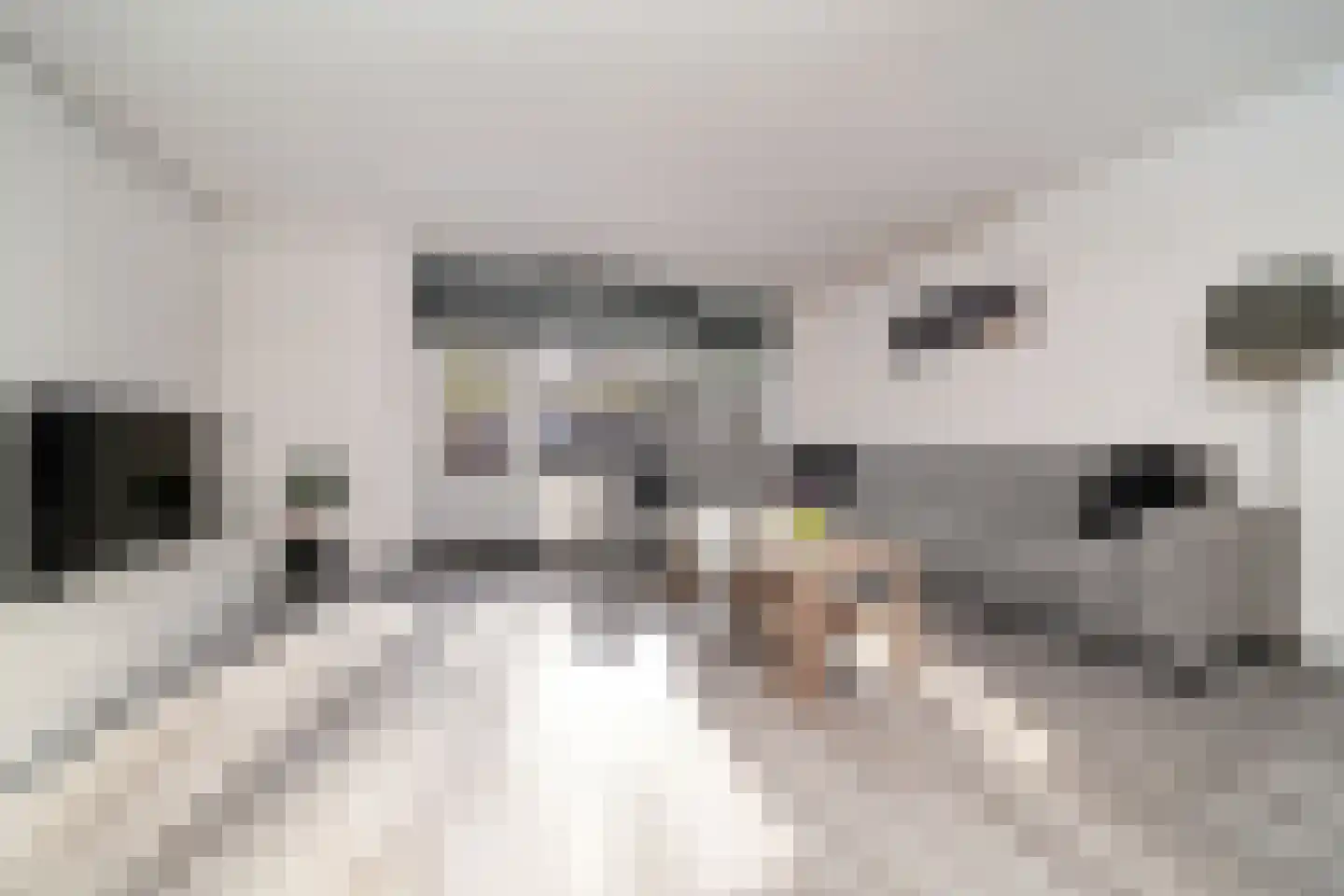 Bommelerwaard 34 Rotterdam thumbnail 6
