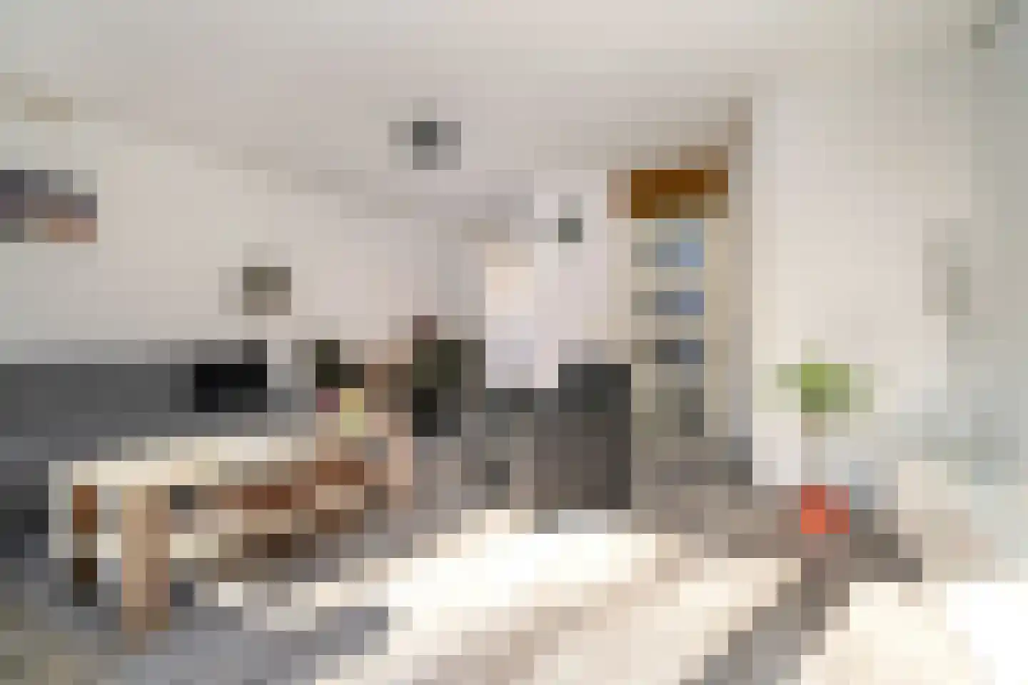 Bommelerwaard 34 Rotterdam thumbnail 7