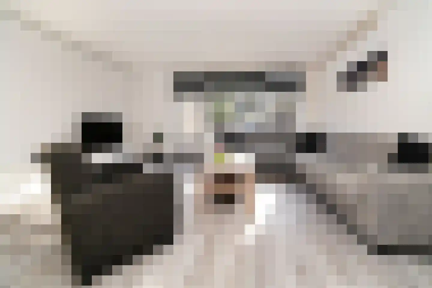 Bommelerwaard 34 Rotterdam thumbnail 8