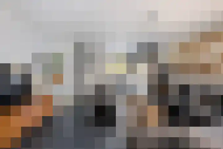 Bommelerwaard 40 Rotterdam thumbnail 10
