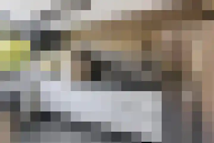 Bommelerwaard 40 Rotterdam thumbnail 12