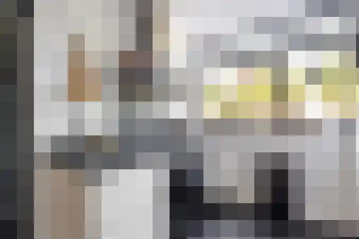 Bommelerwaard 40 Rotterdam thumbnail 13
