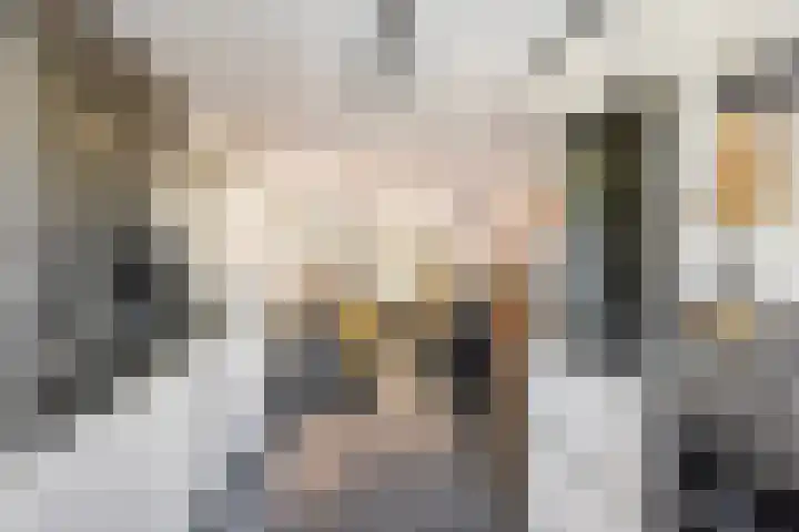 Bommelerwaard 40 Rotterdam thumbnail 14