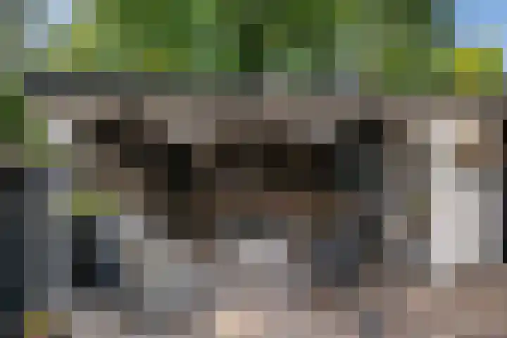 Bommelerwaard 40 Rotterdam thumbnail 15
