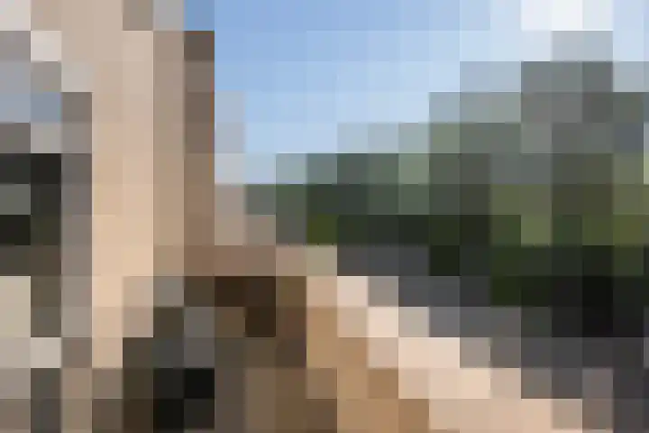 Bommelerwaard 40 Rotterdam thumbnail 22