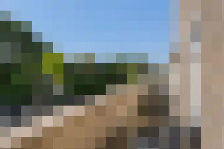 Bommelerwaard 40 Rotterdam thumbnail 23