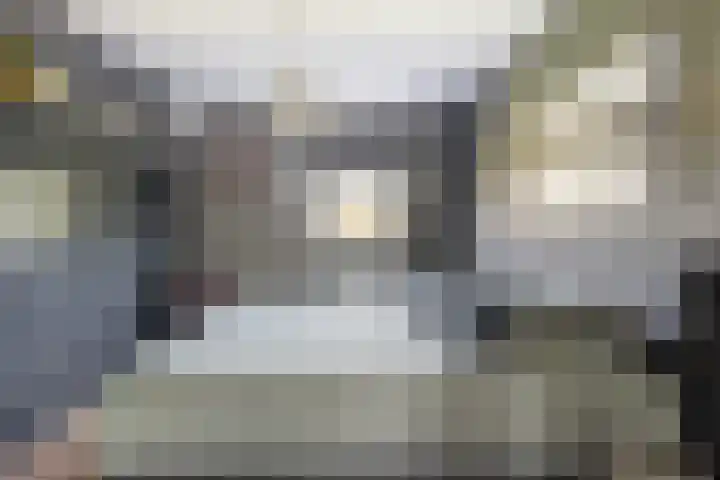 Bommelerwaard 40 Rotterdam thumbnail 31
