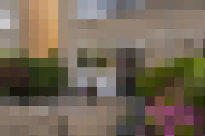 Bommelerwaard 40 Rotterdam thumbnail 35