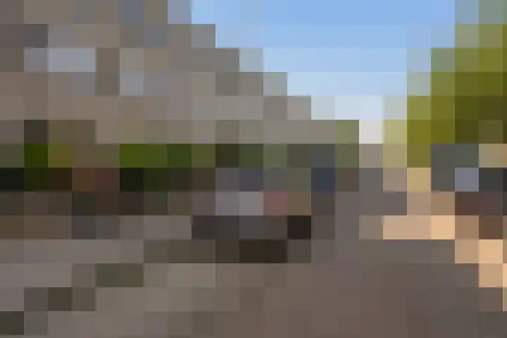 Bommelerwaard 40 Rotterdam thumbnail 36