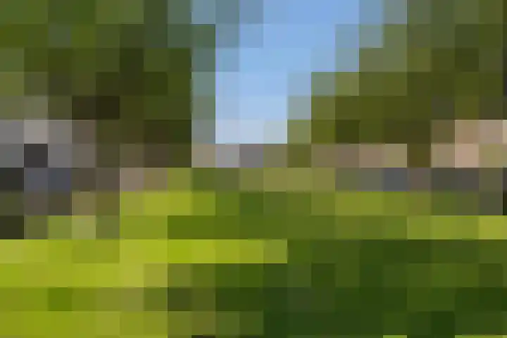 Bommelerwaard 40 Rotterdam thumbnail 37