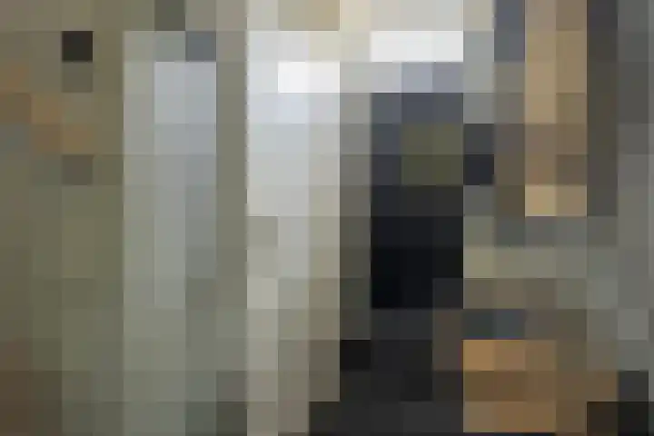 Bommelerwaard 40 Rotterdam thumbnail 4