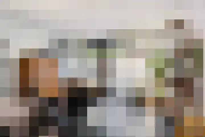 Bommelerwaard 40 Rotterdam thumbnail 7