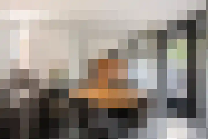 Bommelerwaard 40 Rotterdam thumbnail 8