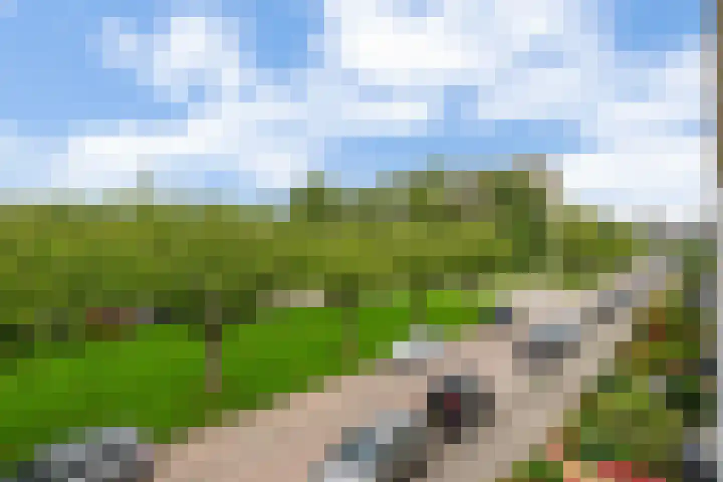 Bommelerwaard 50 Rotterdam thumbnail 36