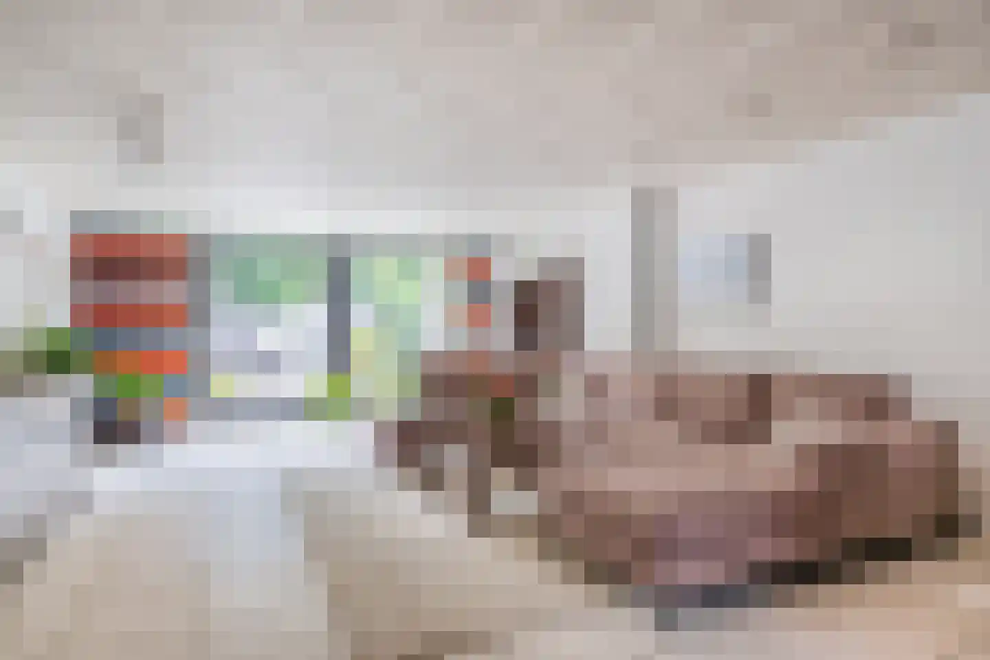 Bommelerwaard 50 Rotterdam thumbnail 7
