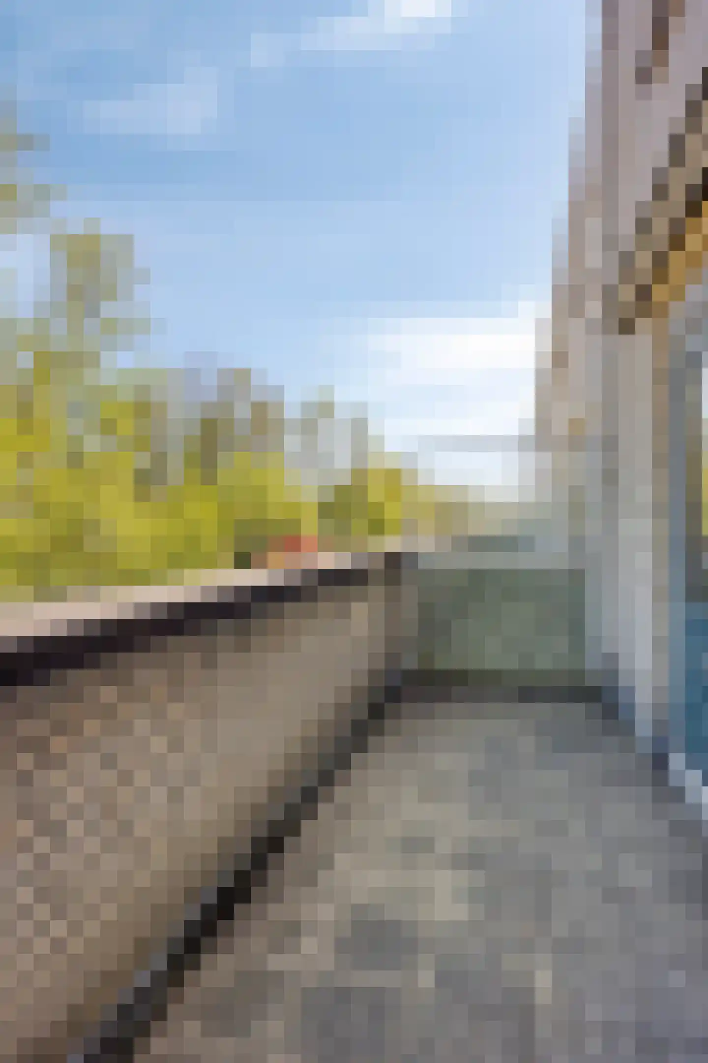 Bommelerwaard 8 Rotterdam thumbnail 27