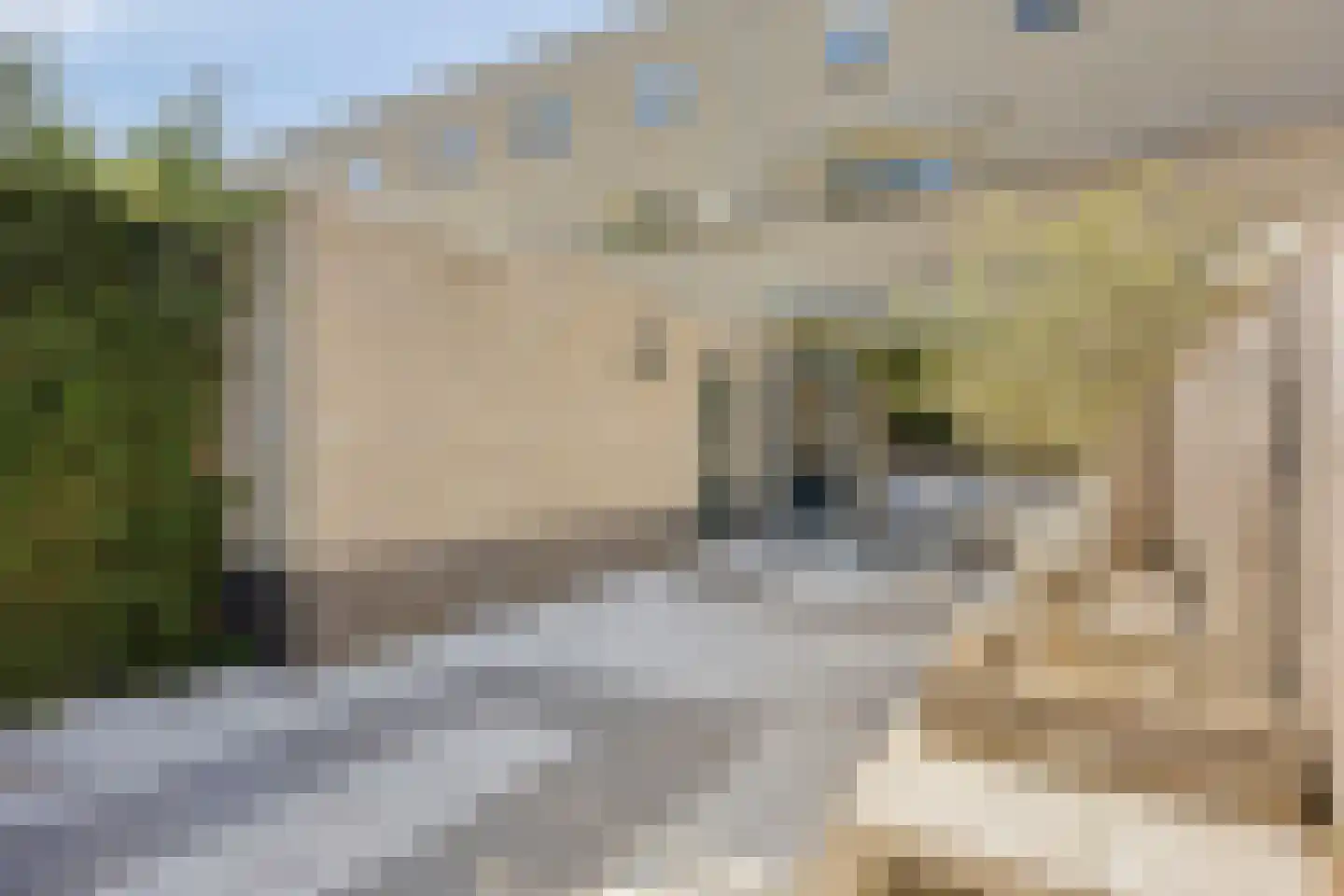 Bommelerwaard 8 Rotterdam thumbnail 36