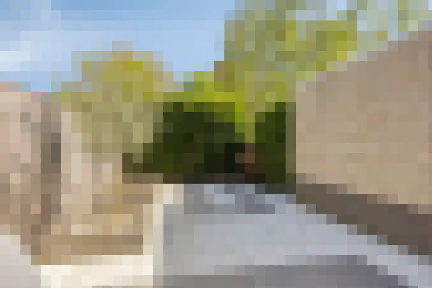 Bommelerwaard 8 Rotterdam thumbnail 40