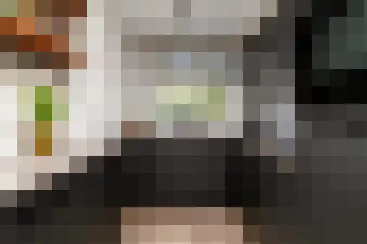 Bommelerwaard 92 Rotterdam thumbnail 12