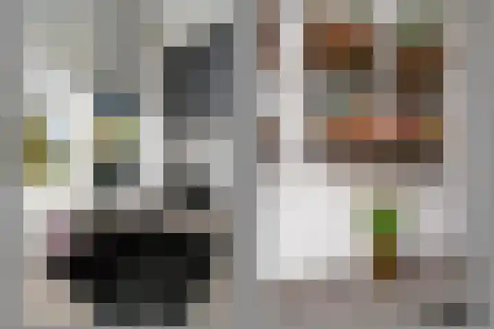 Bommelerwaard 92 Rotterdam thumbnail 15