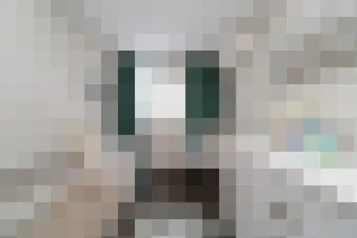 Bommelerwaard 92 Rotterdam thumbnail 18