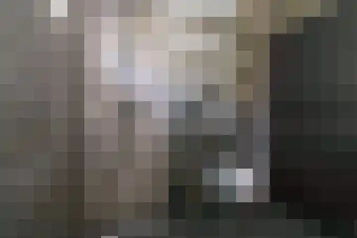 Bommelerwaard 92 Rotterdam thumbnail 22
