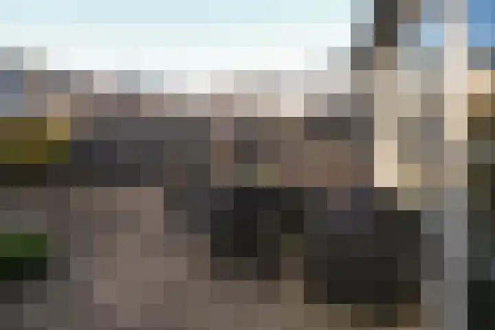 Bommelerwaard 92 Rotterdam thumbnail 30