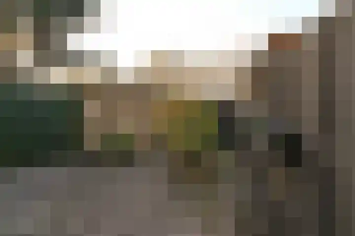 Bommelerwaard 92 Rotterdam thumbnail 31