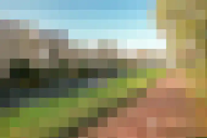 Bommelerwaard 92 Rotterdam thumbnail 32