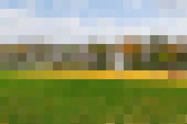 Bommelerwaard 92 Rotterdam thumbnail 34